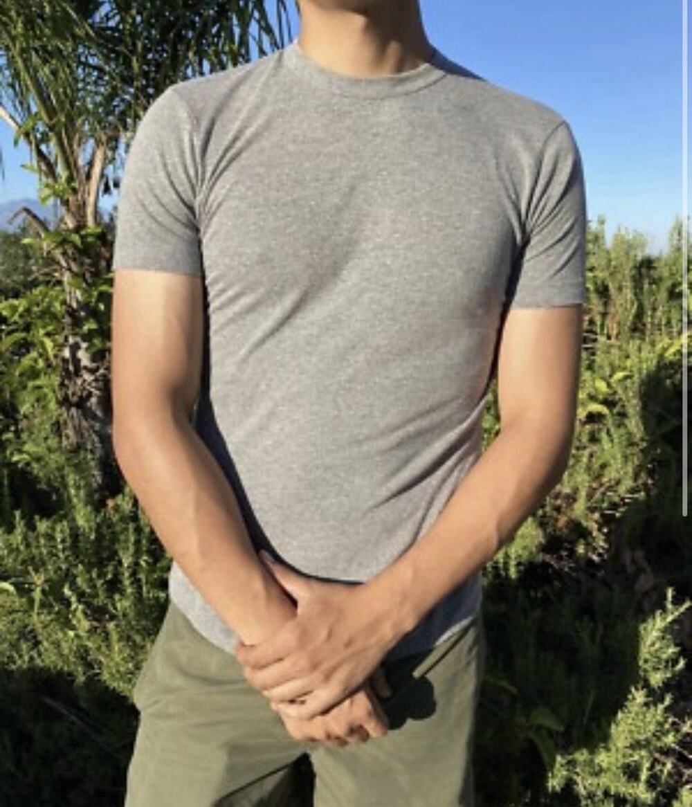 NWT buck mason heather grey pima curved hem tee L